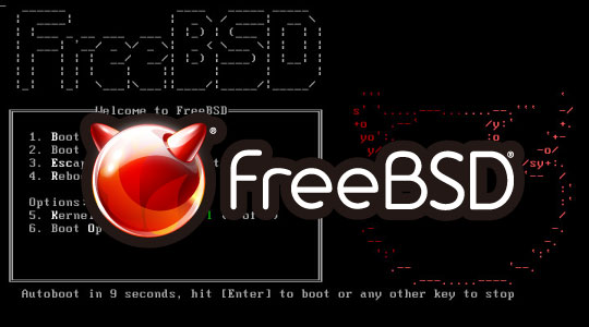 FreeBSD インストール